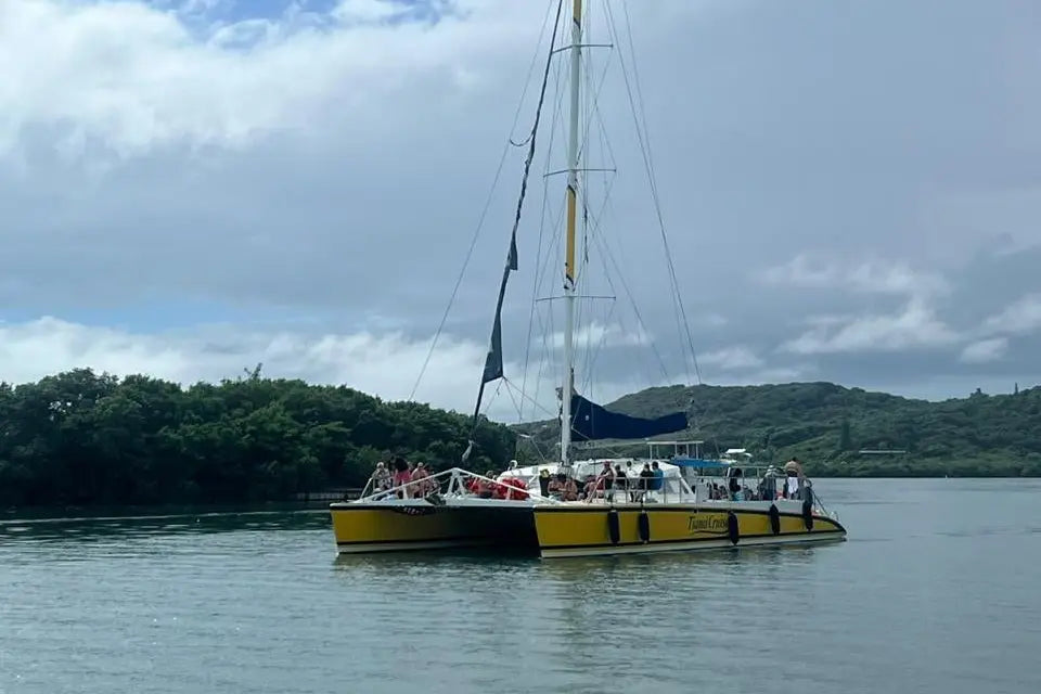 Sunset catamaran cruise Roatán