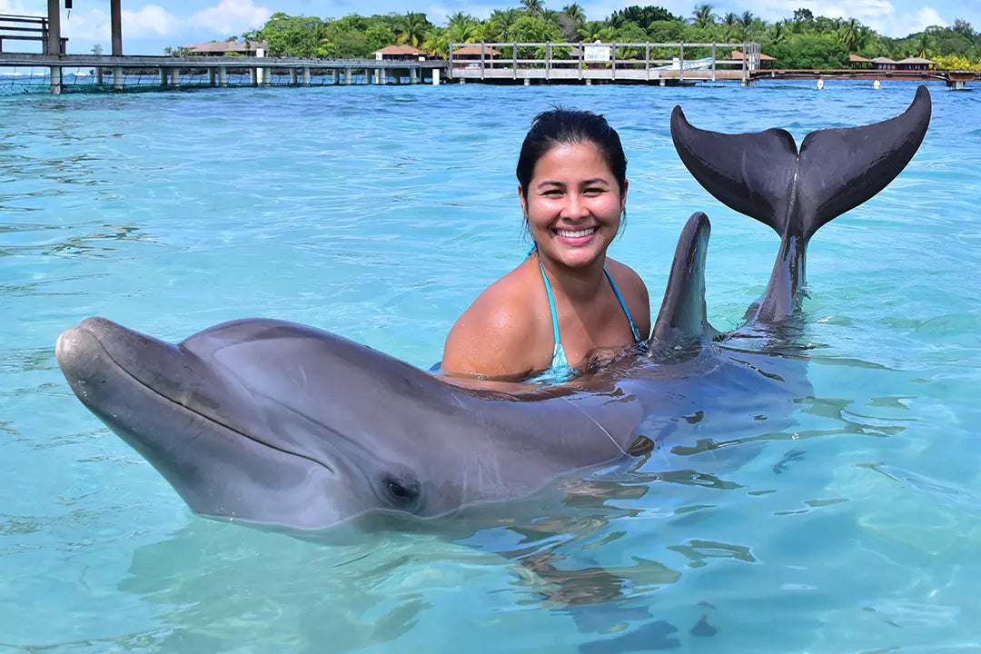 Dolphin encounter Bailey's Key Roatán