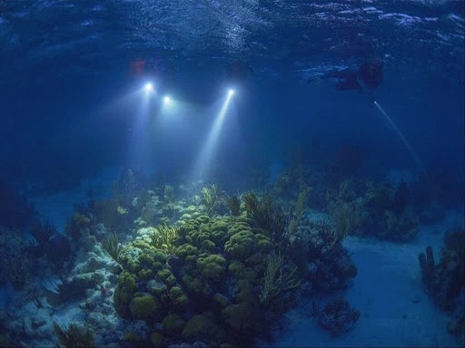 Night snorkeling in Roatán